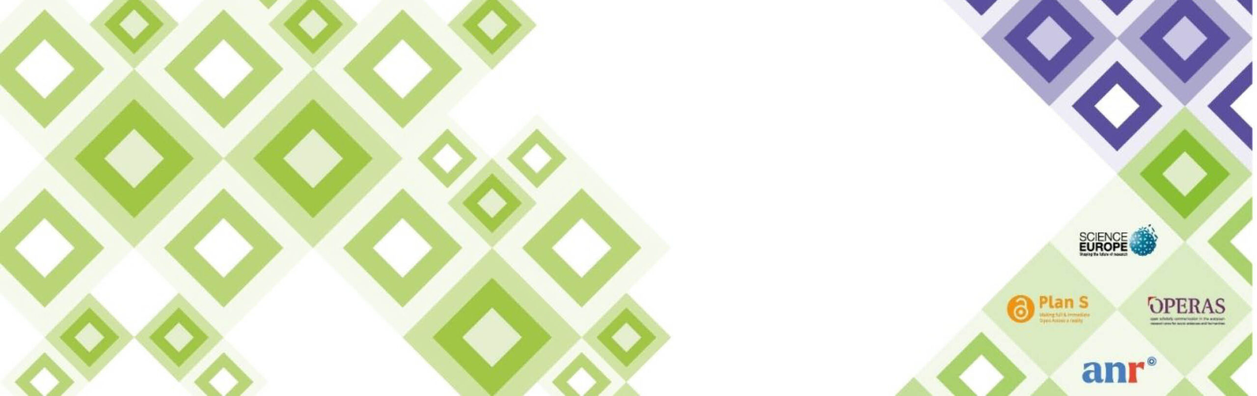 DiamondOA Action Plan